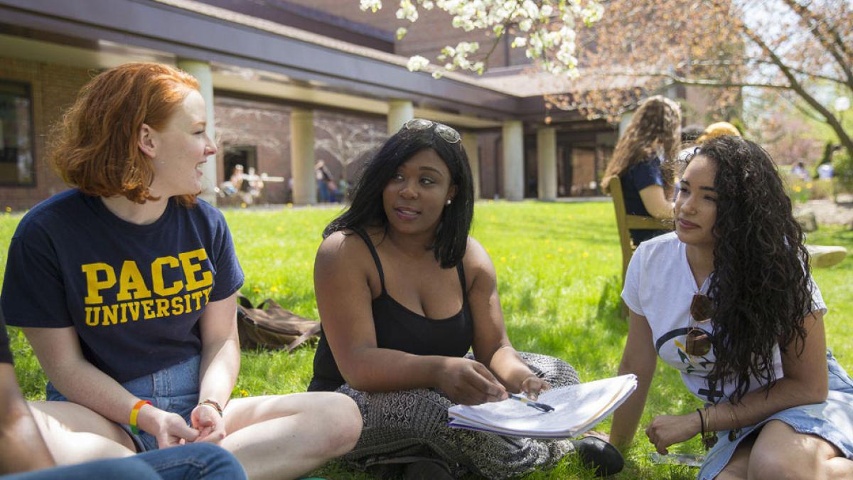 Students studying at the Westchester campus.