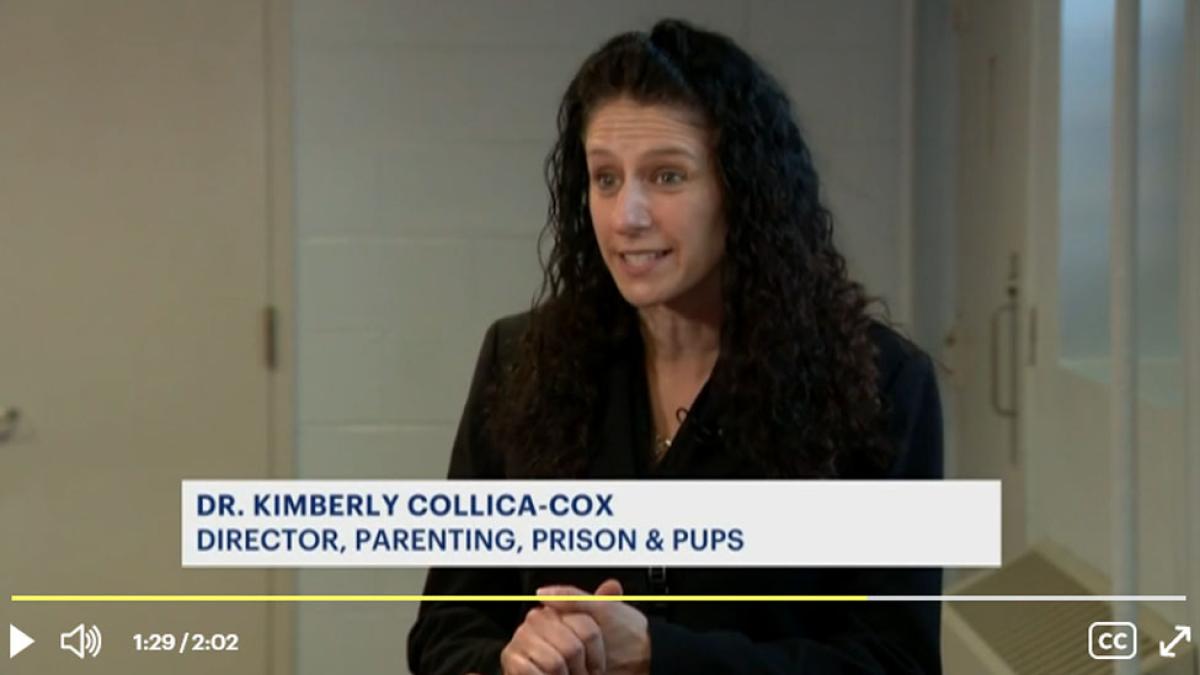 Screenshot of a Kimberly Collica-Cox in a News12 Interview
