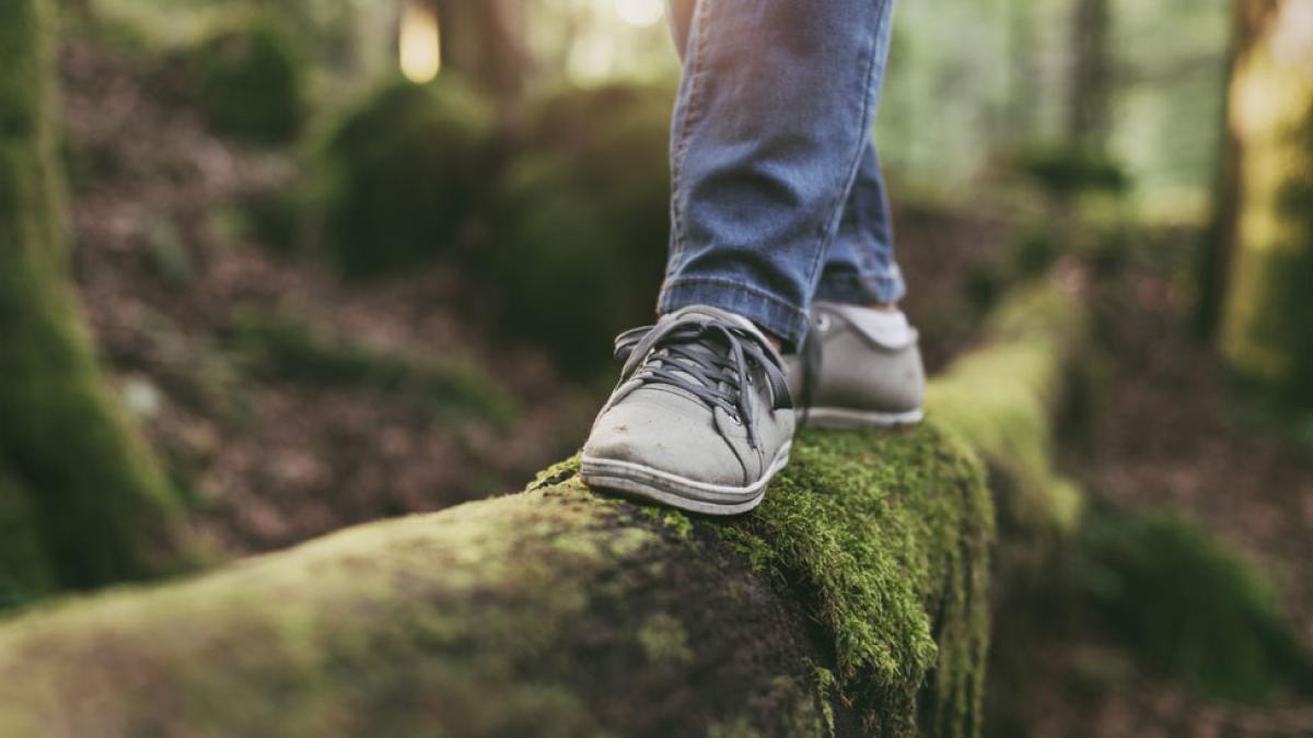 person walking on a fallen log in the woods