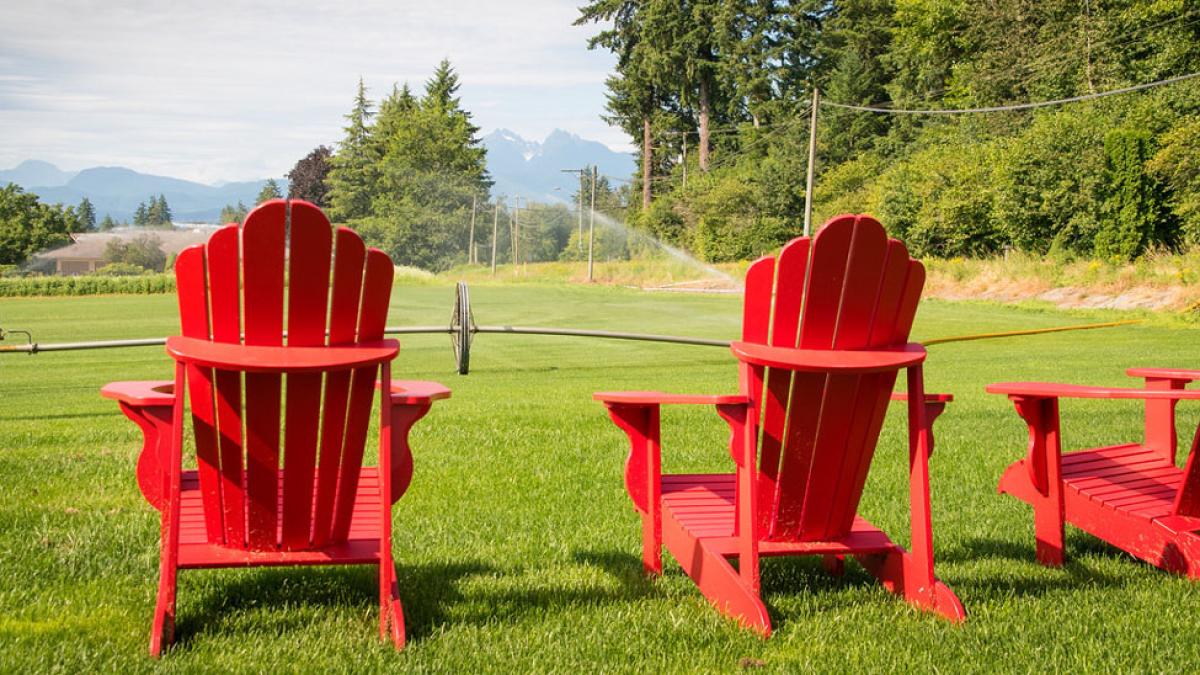 three red Adirondack chairs on a lawn with sprinkler representing the idea of "staycation"