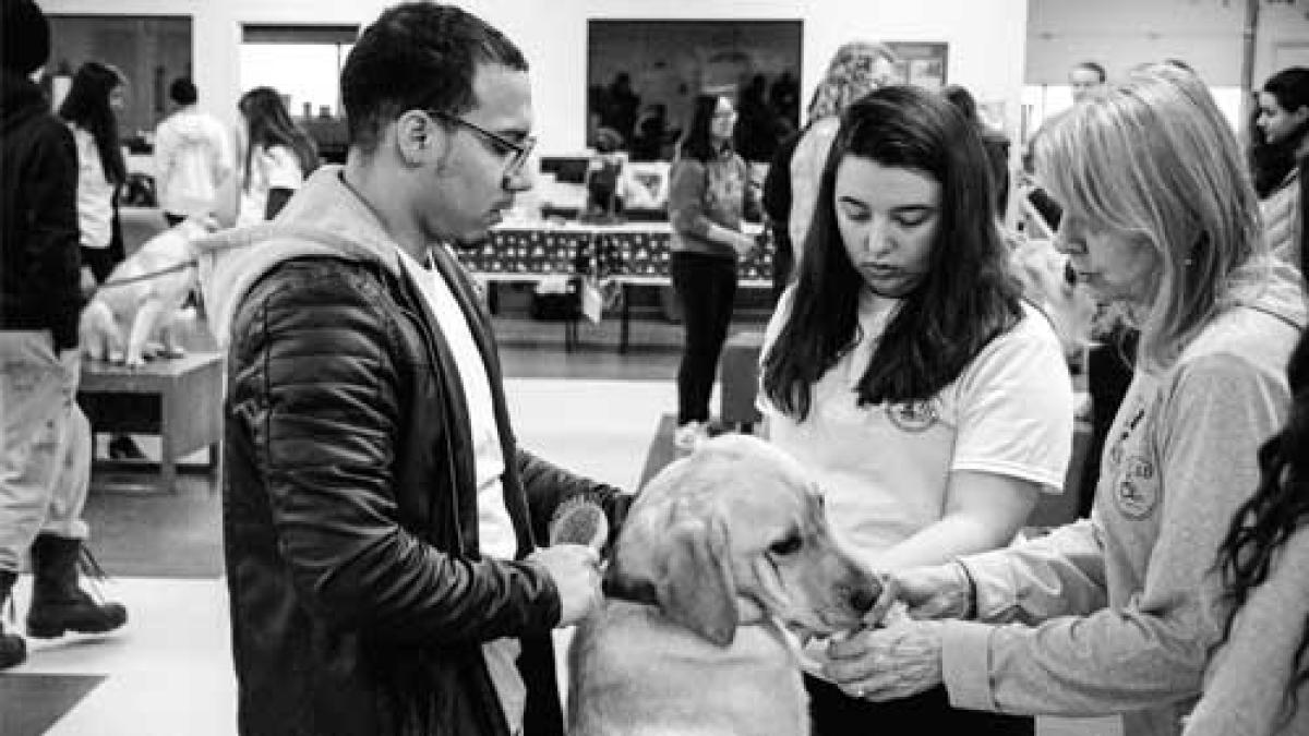 black and white photo of people with a dog