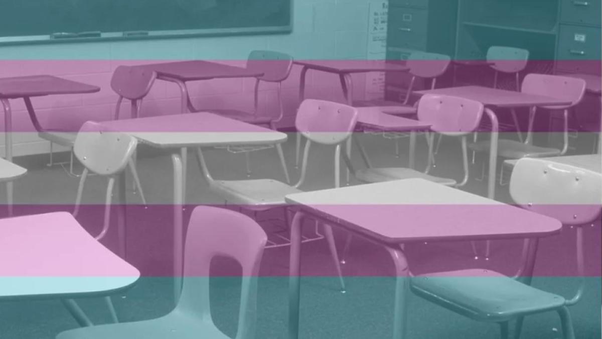 empty classroom with the transgender flag superimposed over it.