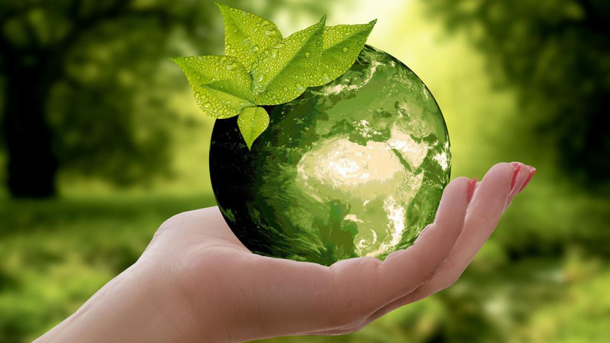 outstretched hand holding globe representing the idea of sustainability