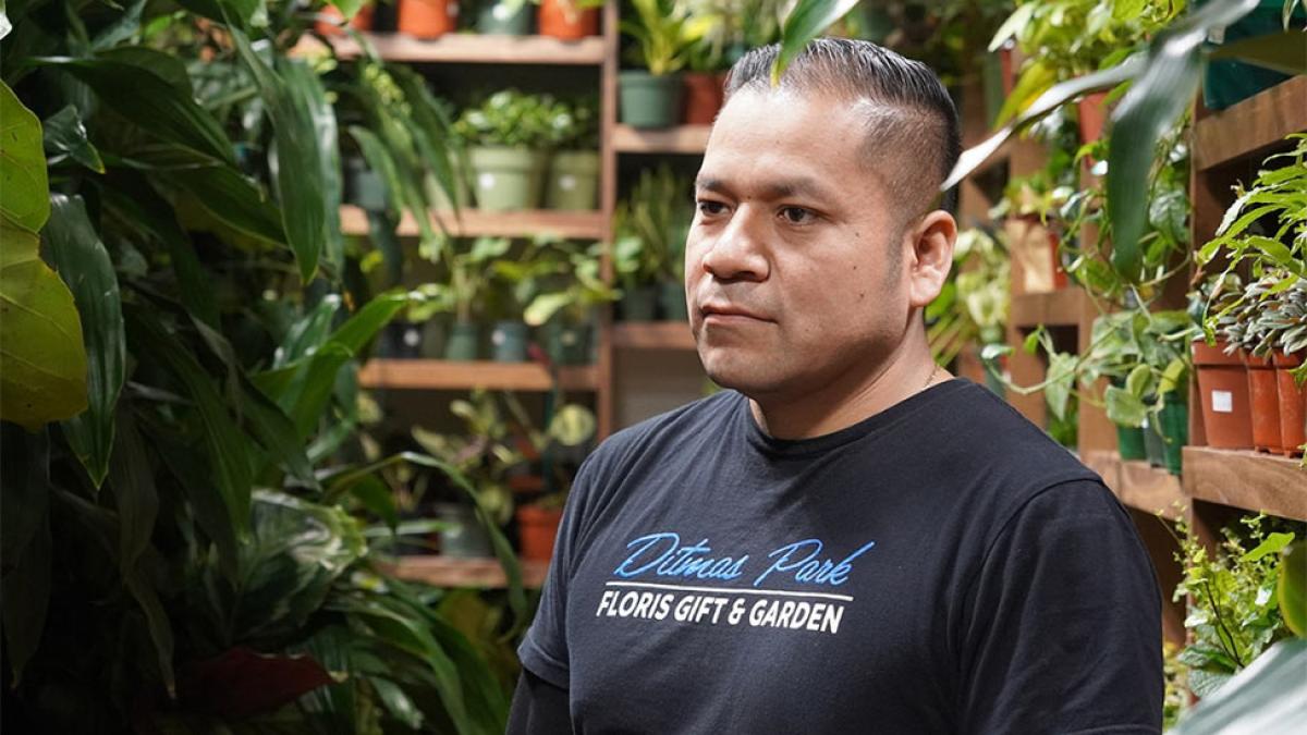 florist standing in a greenhouse full of plants