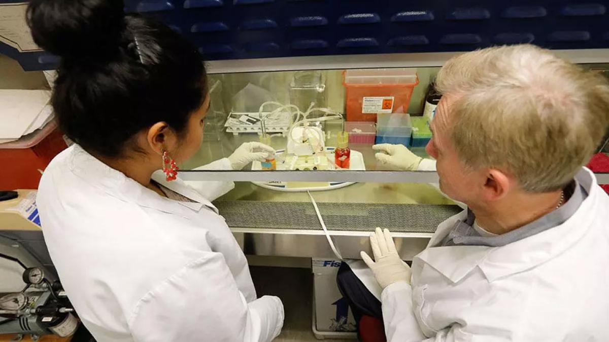 A female and male in lab coats working with chemicals in tubes