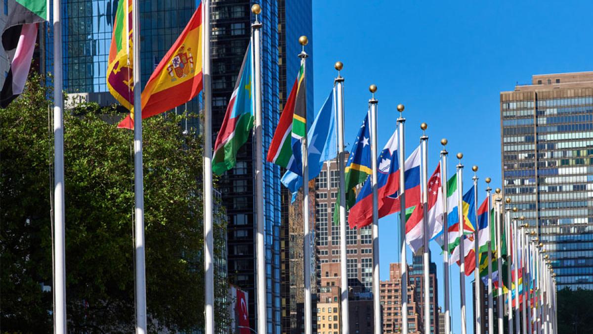 Row of world flags on a city street