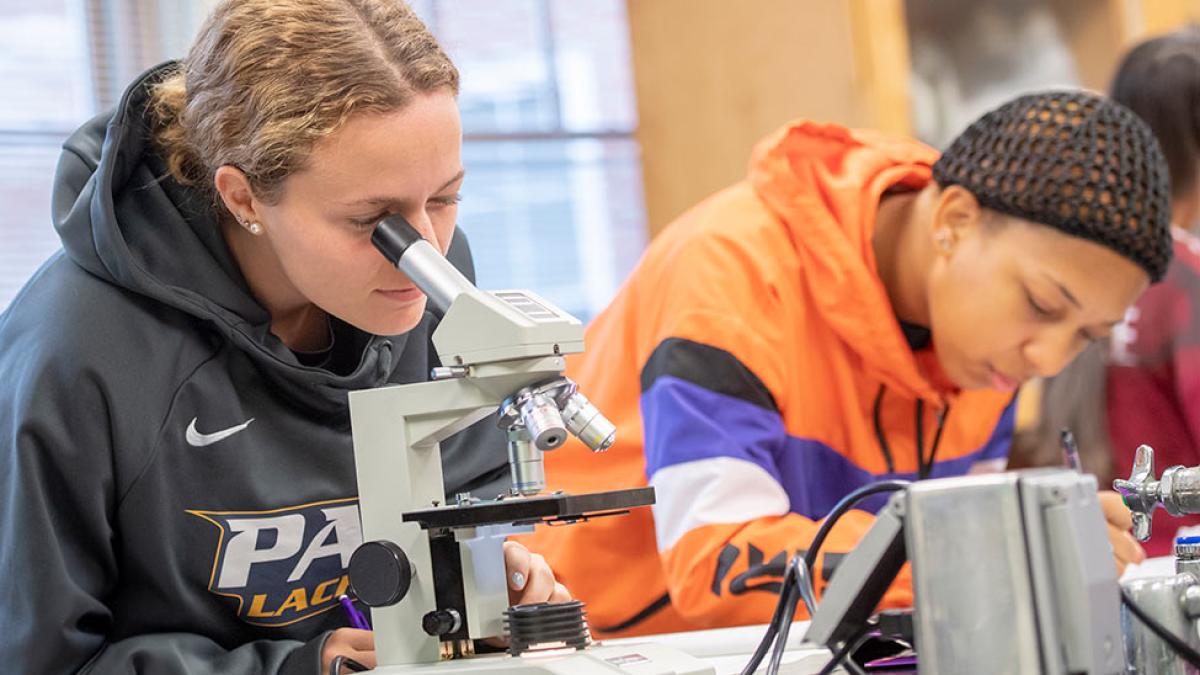 Pace University's New York City Chemistry lab student looking through a microscope