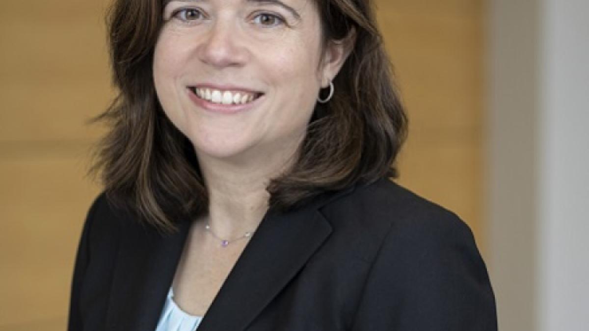 Elisabeth Haub School of Law at Pace University Professor Emily Gold Waldman