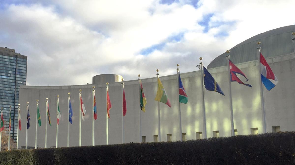 international flags in front of the United Nations building in Manhattan