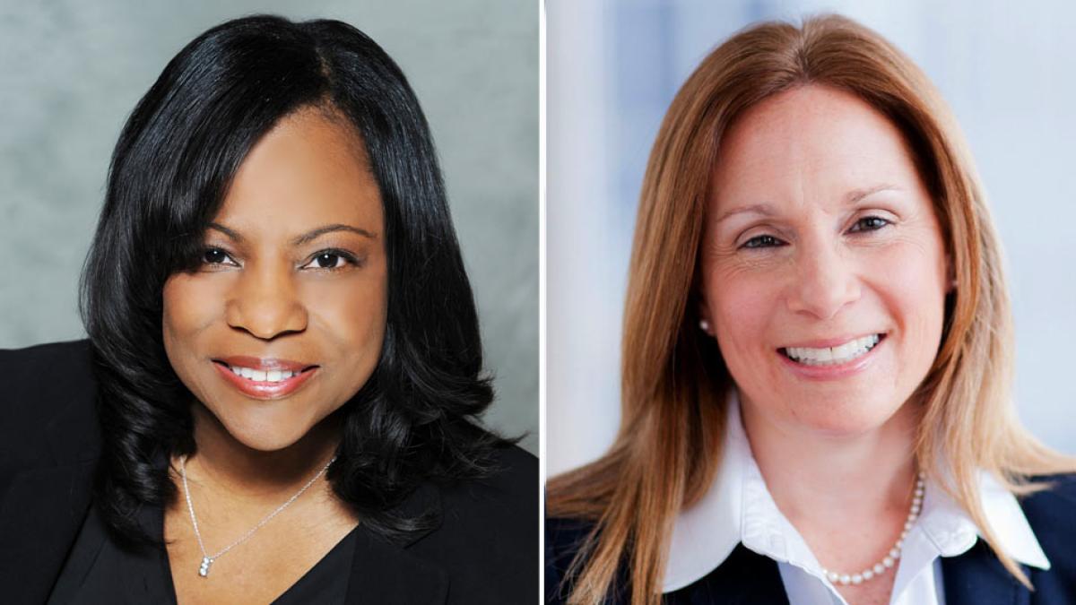 Elisabeth Haub School of Law at Pace University new BOV members