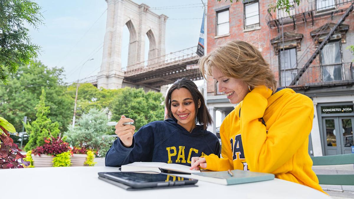 Pace University students studying by the New York City campus.