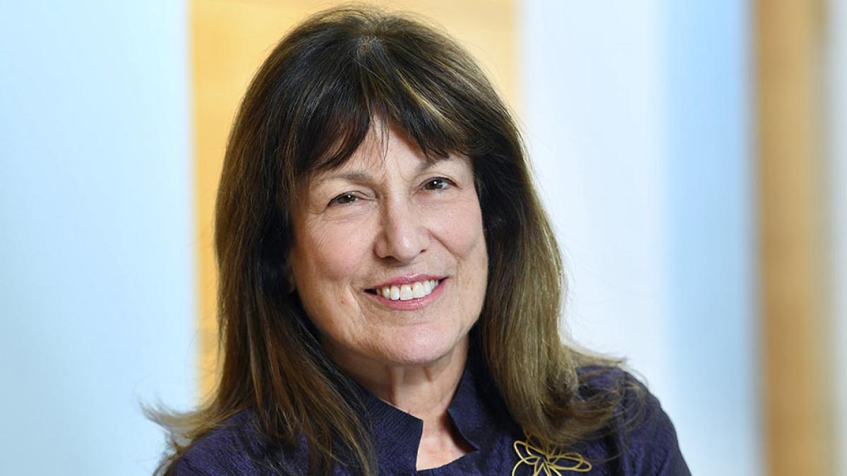 Lissa Griffin, Professor at the Elisabeth Haub School of Law