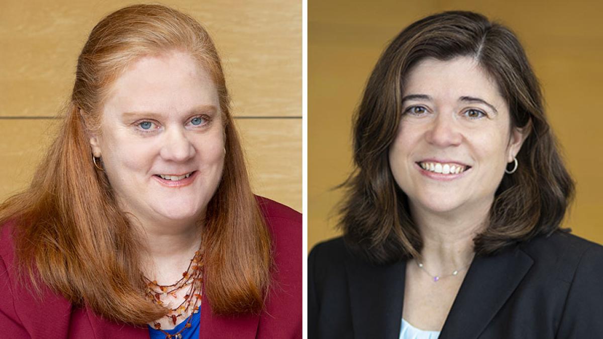 Elisabeth Haub School of Law Professors Bridget Crawford and Emily Gold Waldman