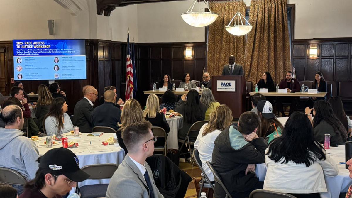 Access to Justice Project, Elisabeth Haub School of Law at Pace University