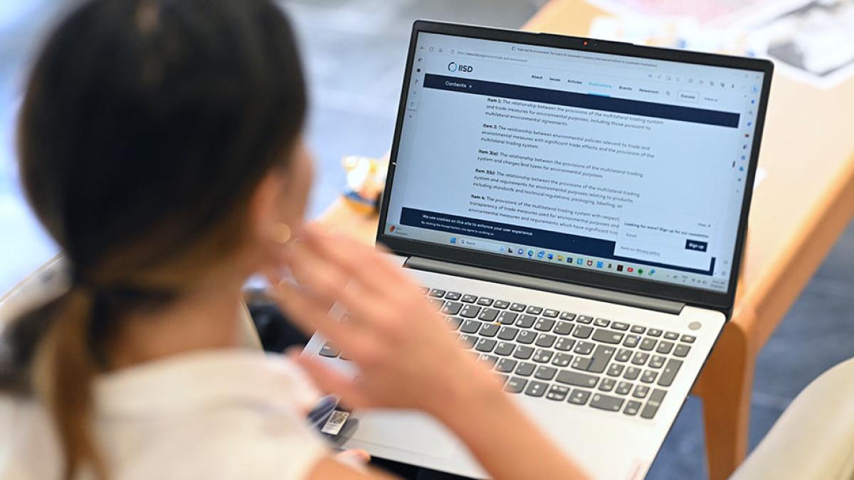 Law student looking at computer
