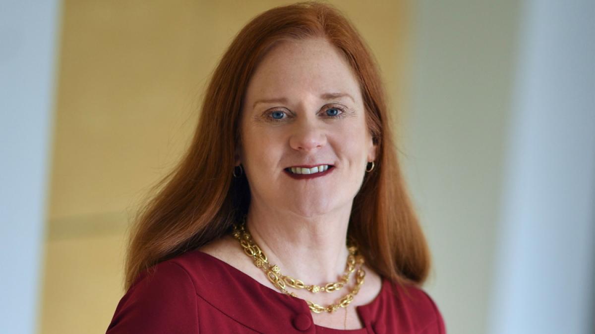Elisabeth Haub School of Law Distinguished Professor Bridget J. Crawford