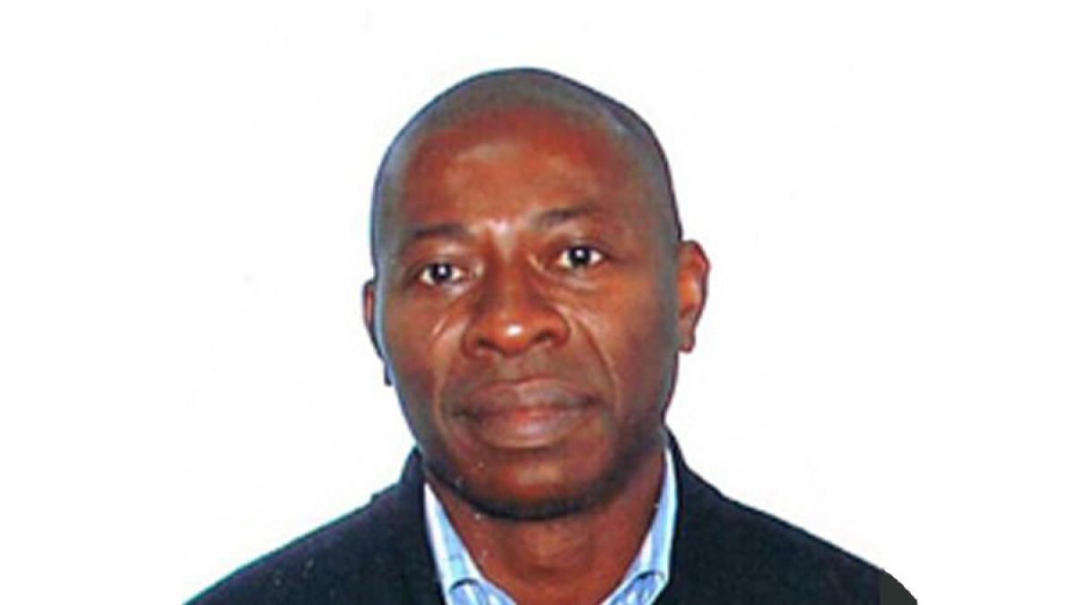 Pace University Lubin Professor Christian Madu