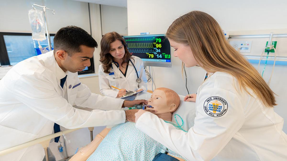 College of Health Professions Lenox Hill Physician Assistant program students examining a manikin.