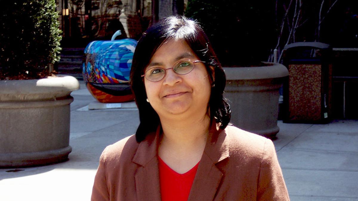 Shamita Dutta Gupta, professor at Pace University's Dyson College of Arts and Sciences.
