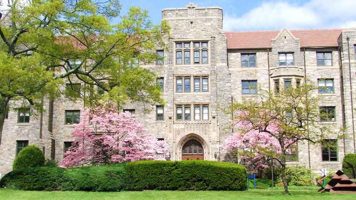 Elisabeth Haub School of Law's Preston Hall in the spring with cherry blossom trees in full bloom. 