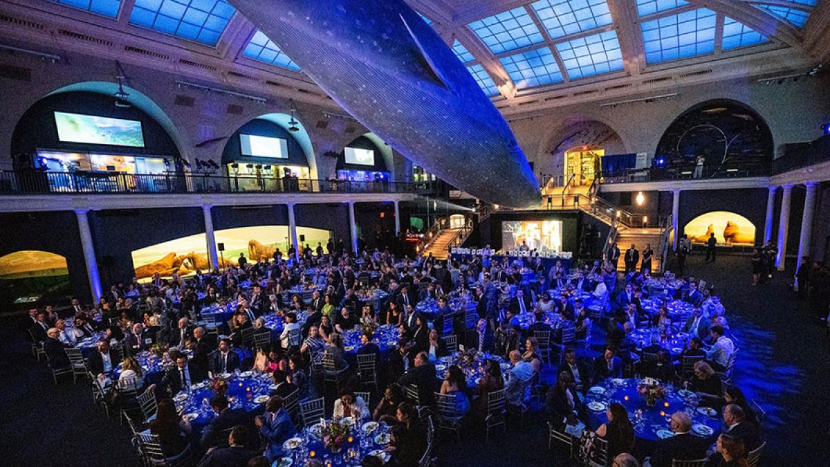 Spirit of Pace Awards, Pace Unievrsity's signature gala, held on June 12 at the American Museum of Natural History.