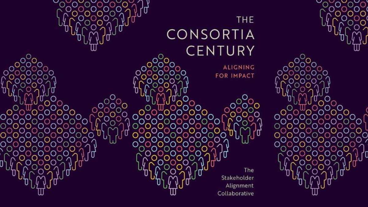 An abstract book cover for Seidenberg Professor Namchul Shin's book, The Consortia Century.
