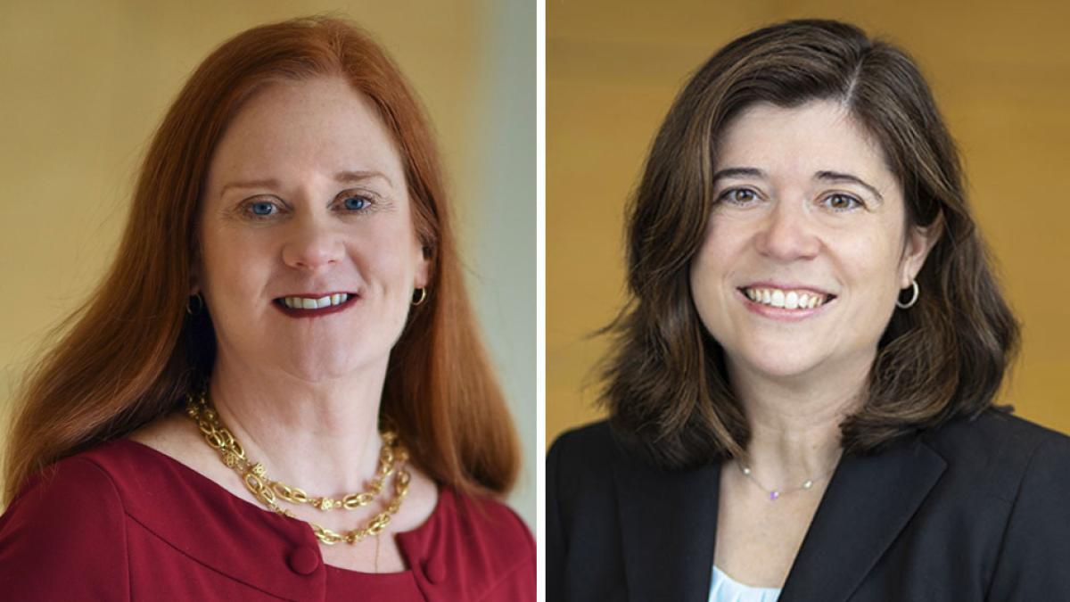 Elisabeth Haub School of Law Professors Bridget Crawford and Emily Gold Waldman