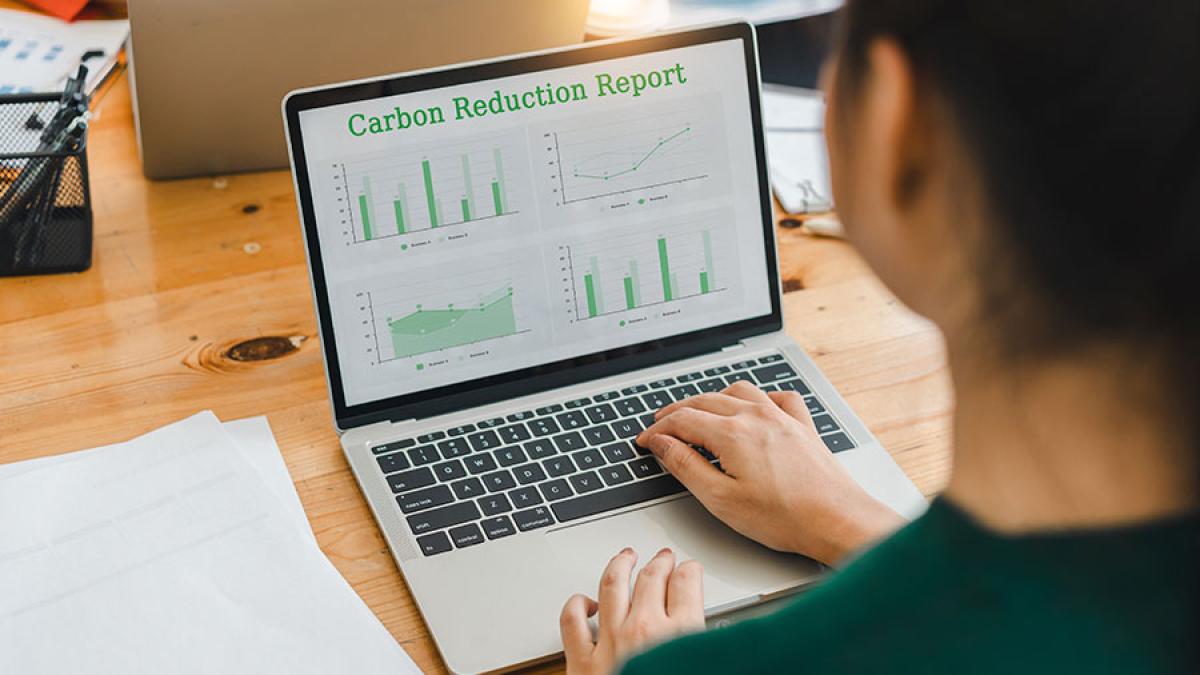 Woman at computer looking at energy report.