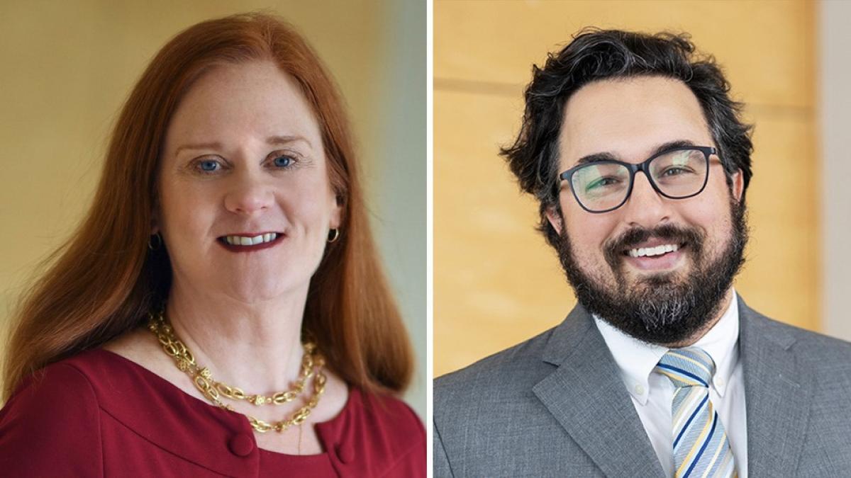 Elisabeth Haub School of Law Professors Bridget Crawford and Josh Galperin