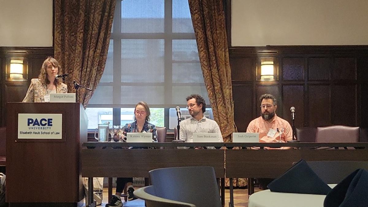Elisabeth Haub School of Law at Pace University Professor Margot Pollans at the podium during the Future Environmental Law Professors Workshop and a panel of three professors