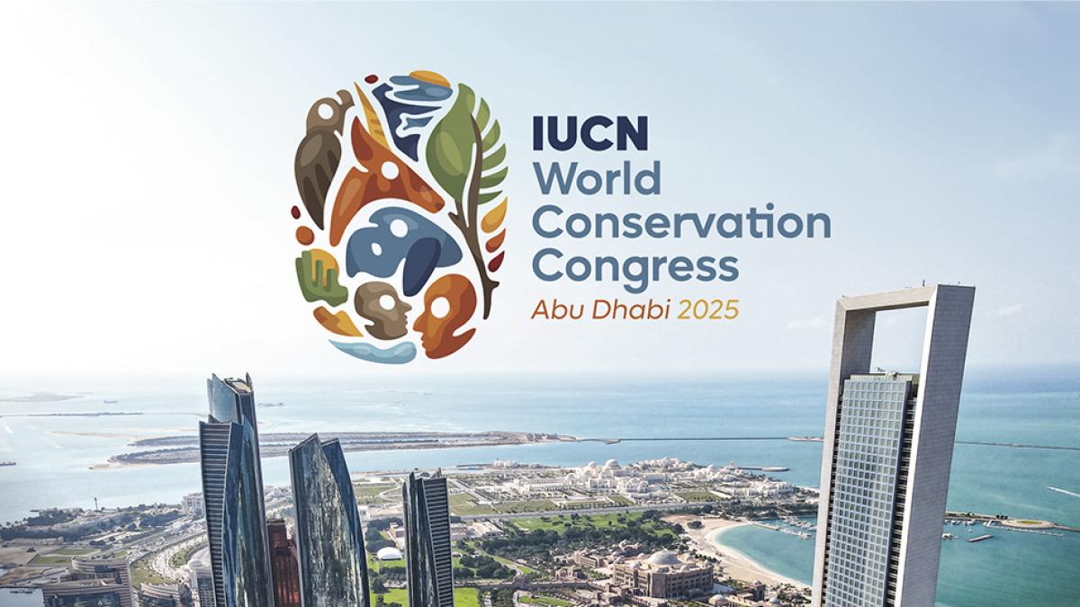 Skyline of Abu Dhabi with IUCN WCC logo centered