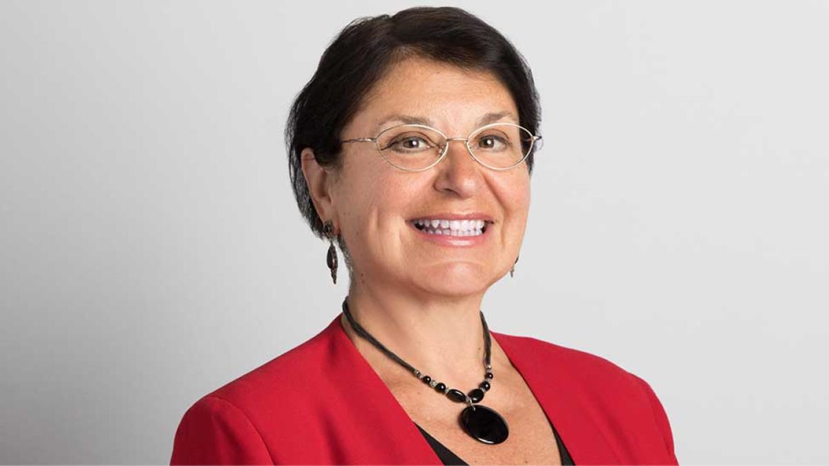 Carmen G. Gonzalez, Morris I. Leibman Professor of Law at Loyola University Chicago School of Law