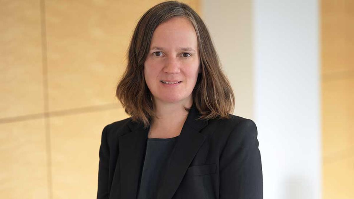 Amelia Wilson, Elisabeth Haub School of Law at Pace University Director of the Immigration Justice Clinic