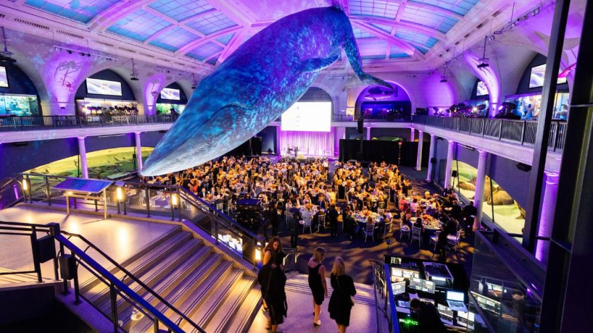 A wide shot of the 2026 Spirit of Pace Awards dinner in the Irma and Paul Milstein Family Hall of Ocean Life at the American Museum of Natural History.