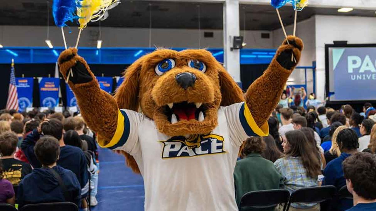 Pace University's mascot T-Bone cheers for Pace athletes