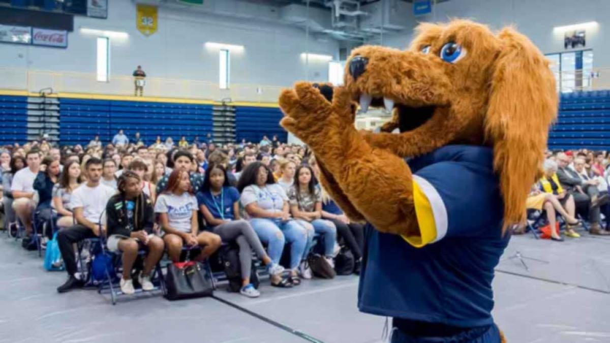 Pace University's mascot T-Bone claps at Convocation