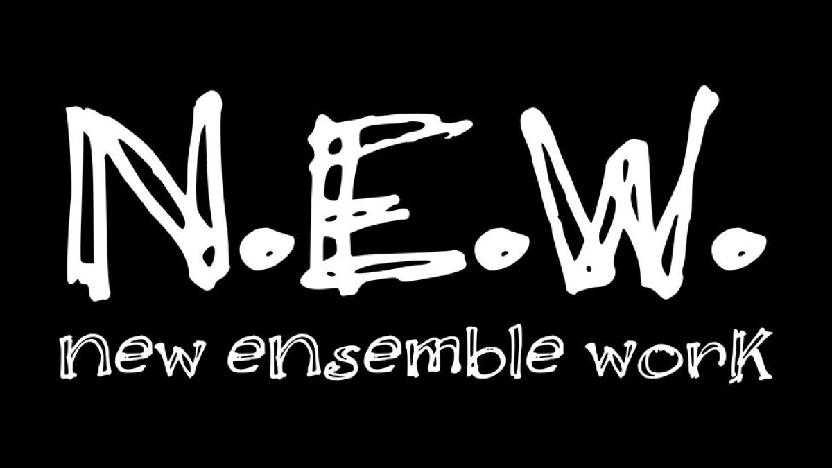 Pace University Sands College of Performing Arts New Ensemble Work