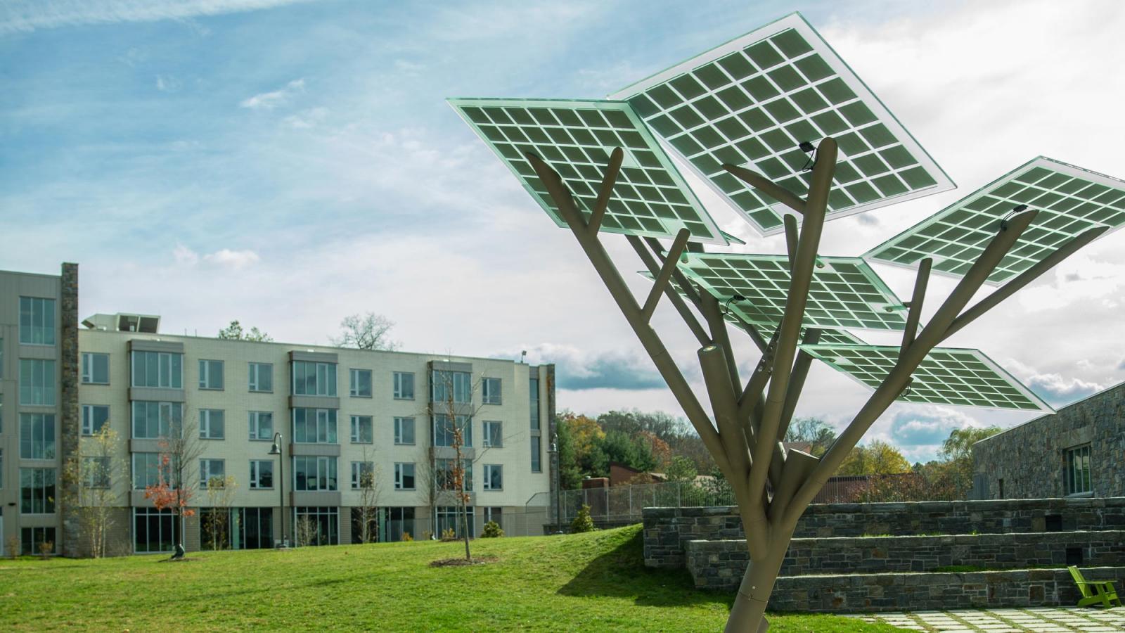 westchester campus and solar tree