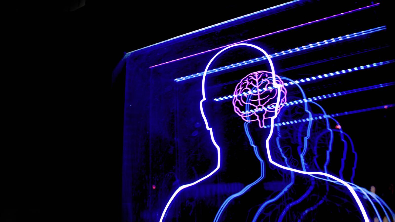 Neon lights of human body and brain