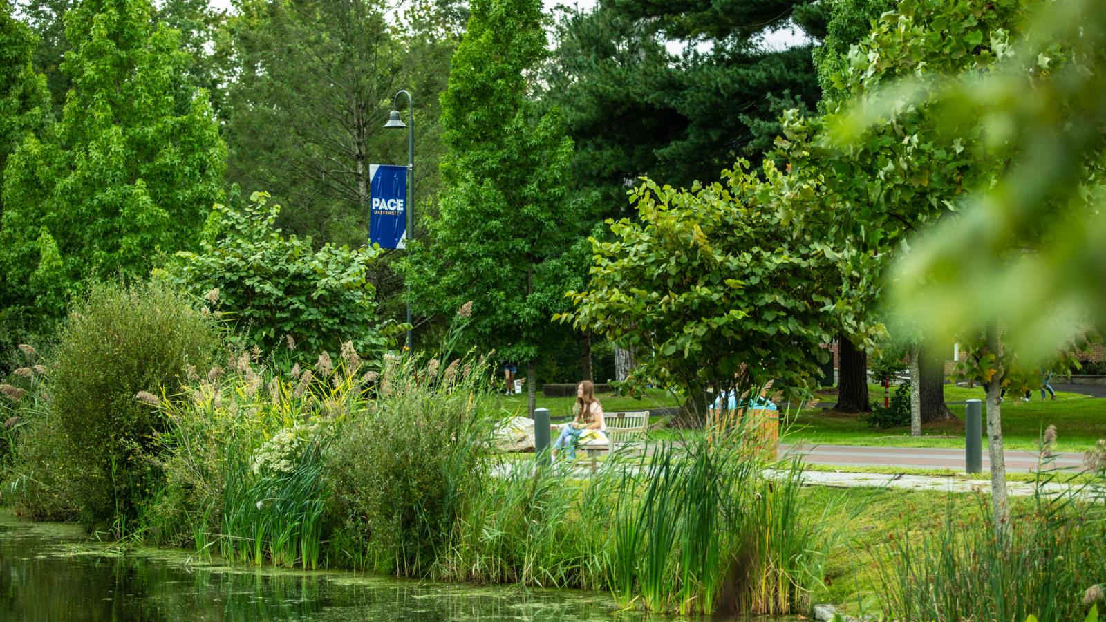 woman sitting on bench in pleasantville