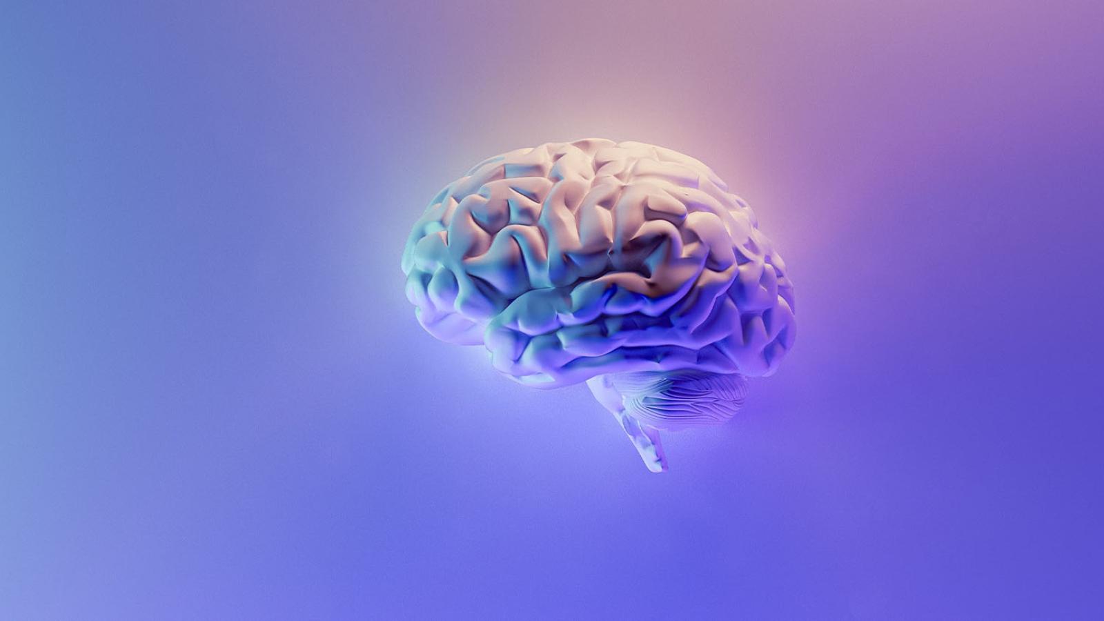 A computer generated brain in pastel pink and blue colors.
