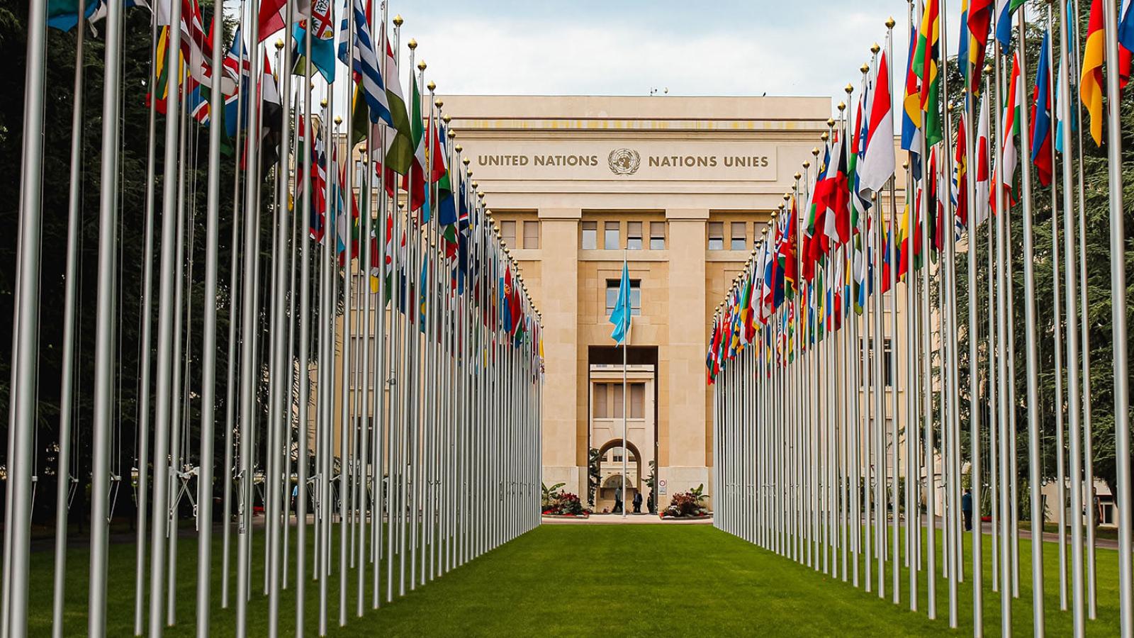Flags of the world lined up leading to the United Nations