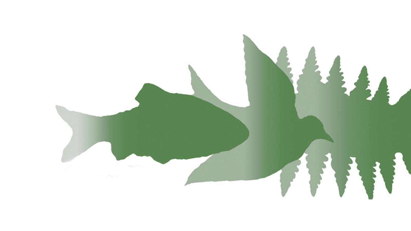 Silhouette of fish, bird, and tree