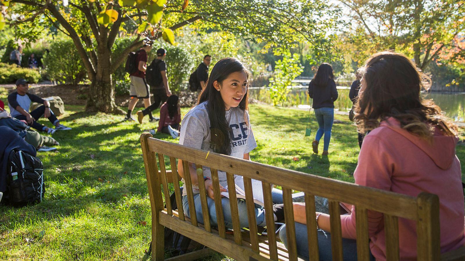 Students sitting on benches enjoying a sunny day on the Westchester campus.