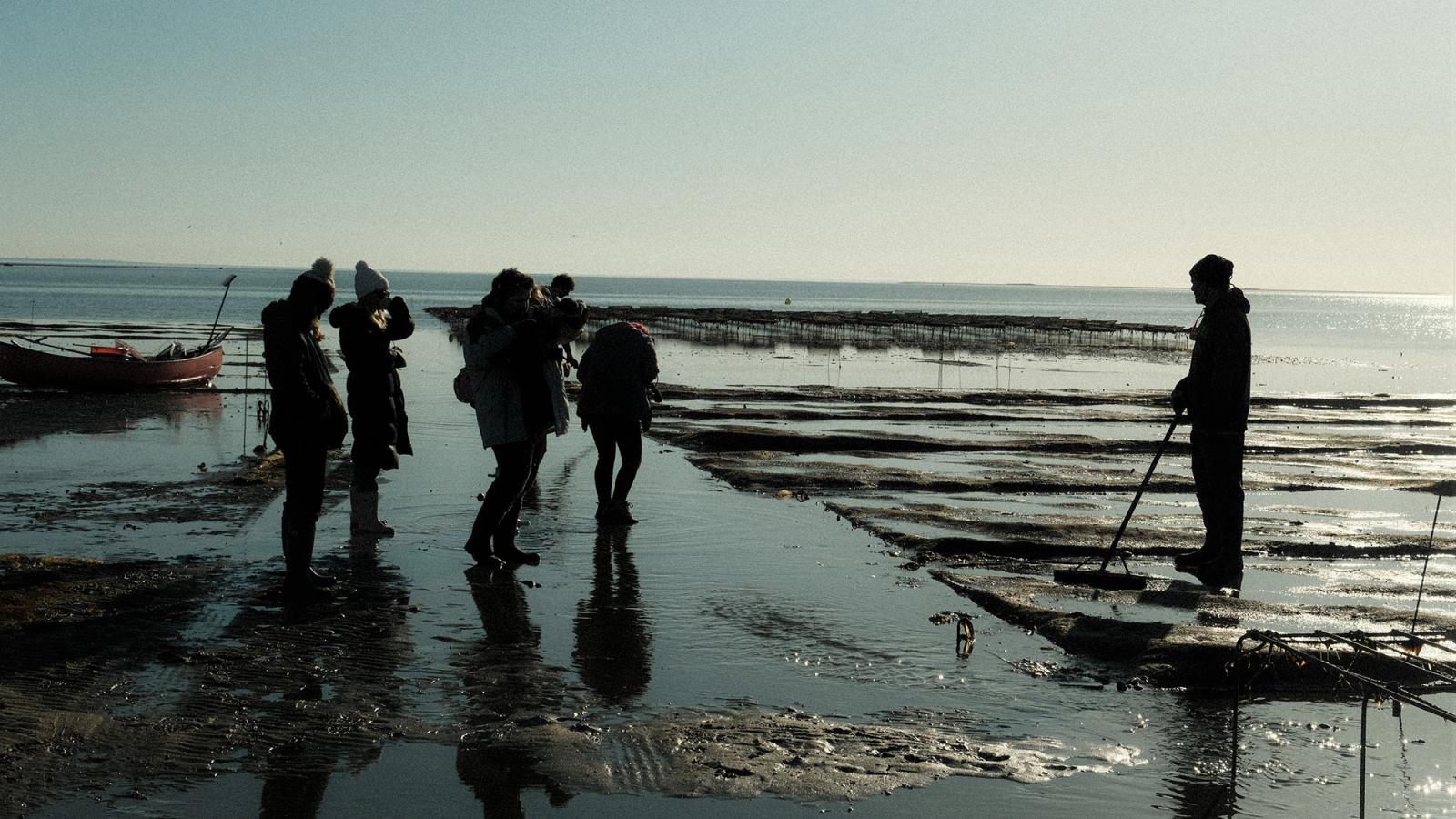 Pace students looking for oysters in a bay