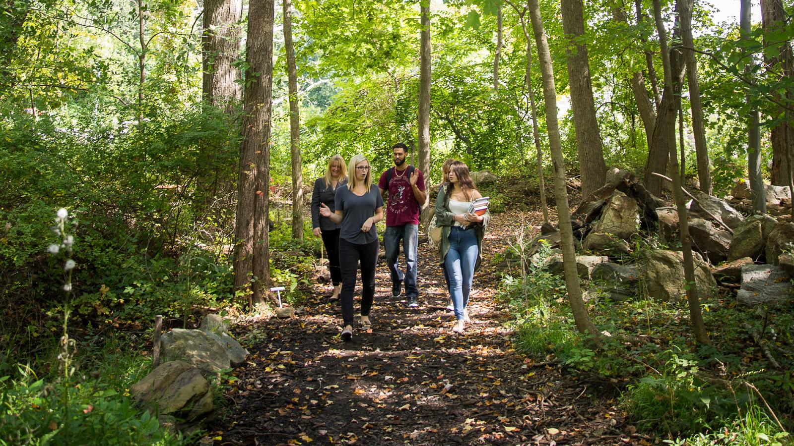 Students walking through Pleasantville wooded area