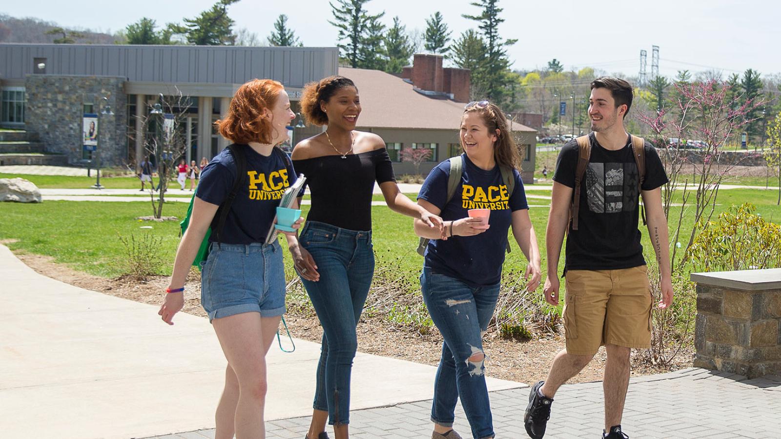 Students enjoying a sunny day on the Westchester campus.