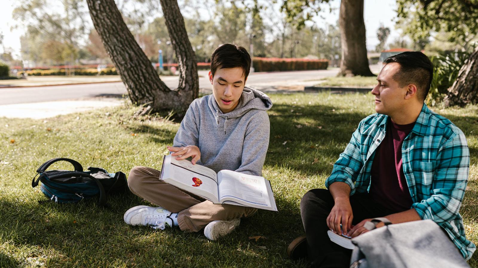 Two male students sitting on a grassy field, studying