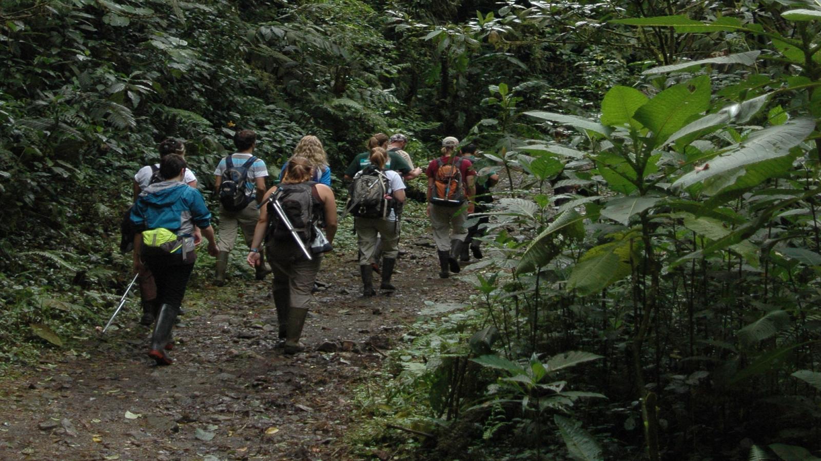 Students In Forest Costa Rica