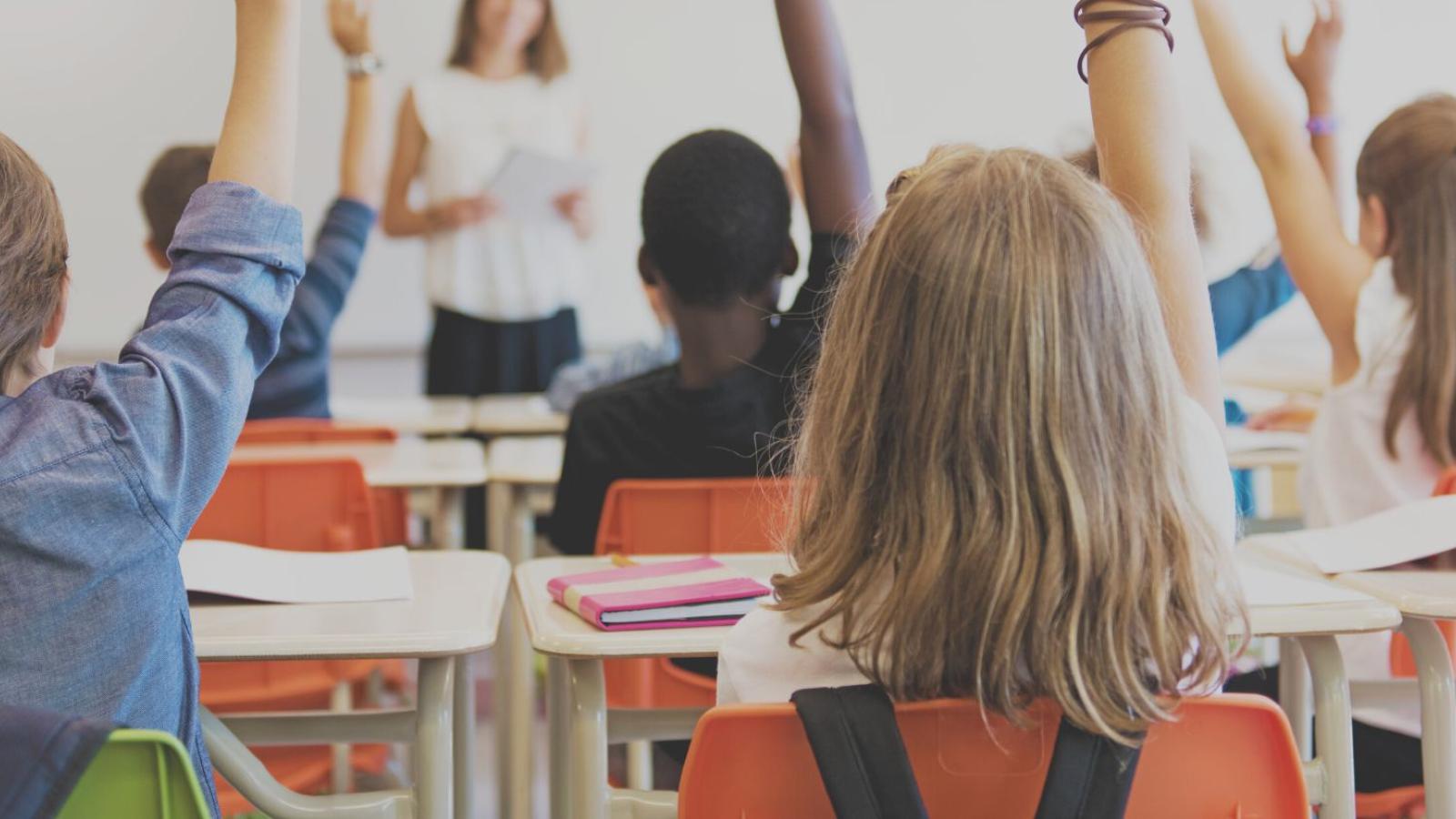 students raising their hands in a classroom